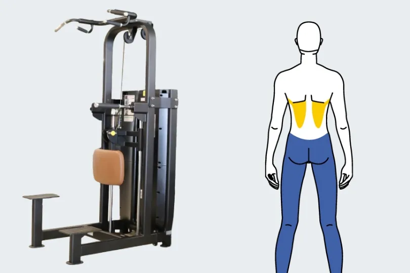 ラットプルダウン