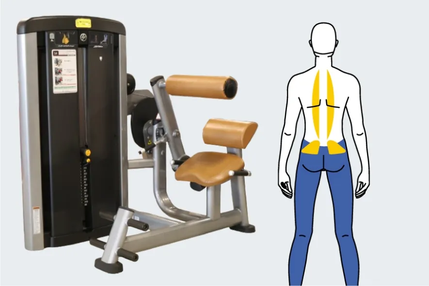 バックエクステンション