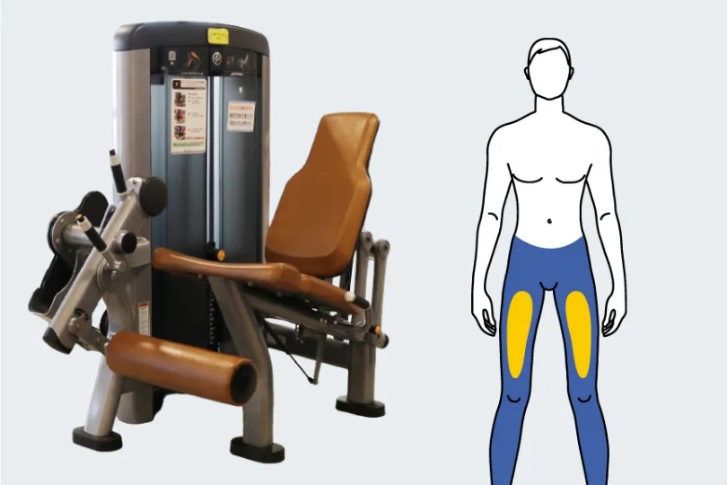 レッグ・エクステンション